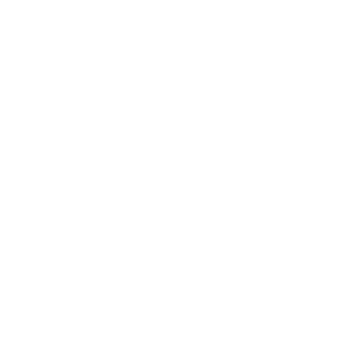 Transportation VIP